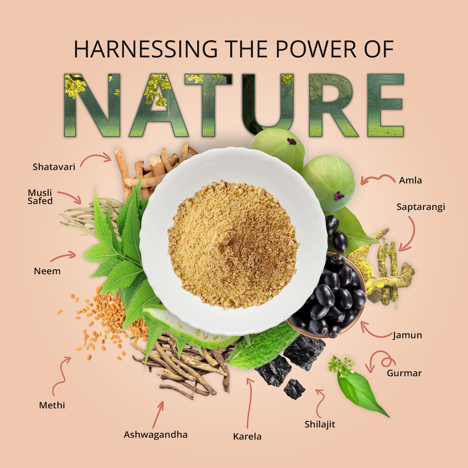 a bowl of Neem karela jamun powder in the middle. Surrounded by its ingredients such as amla, methi, neem, jamun, shilajit, gurmar, etc.