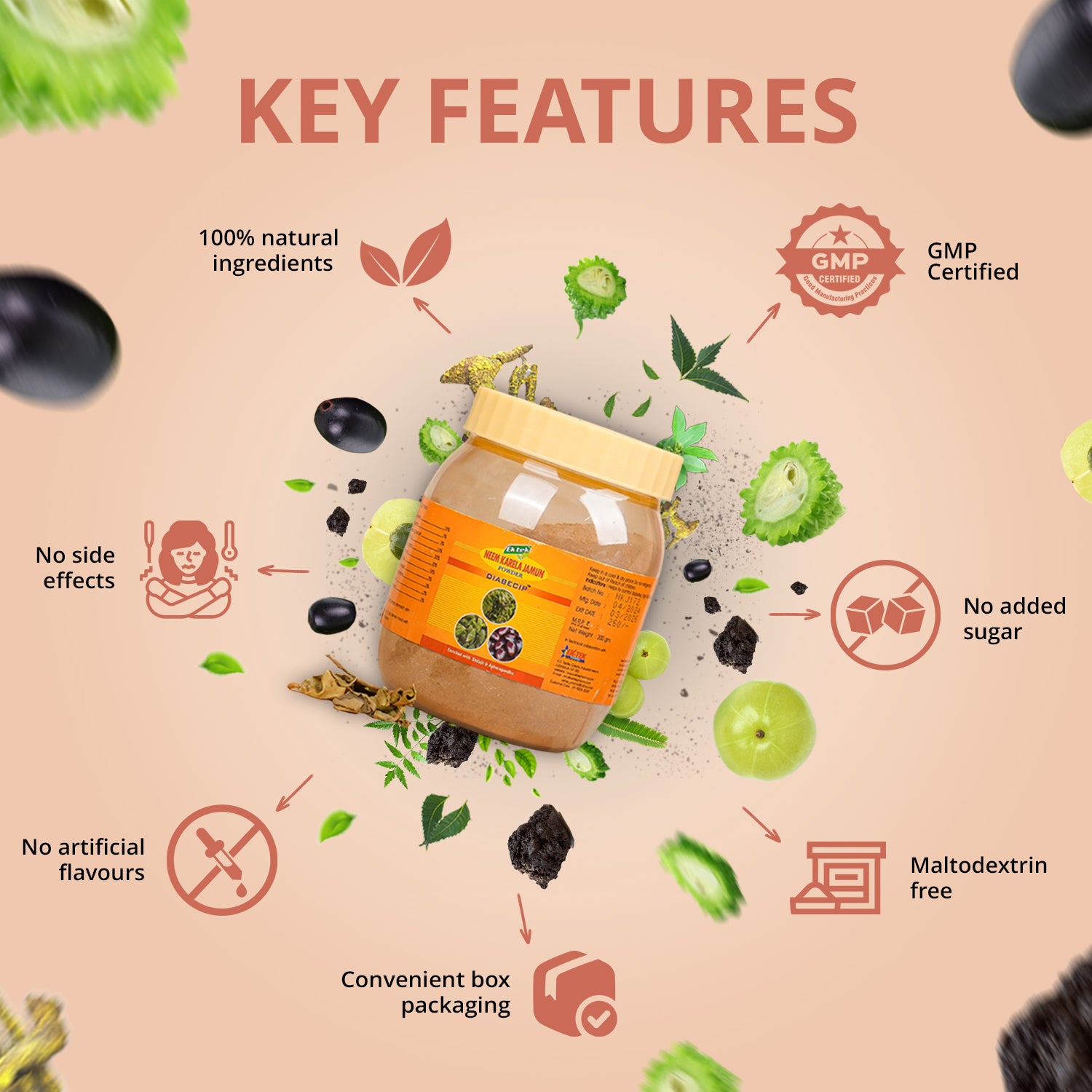 Key features written with a box of karela jamun powder in the middle