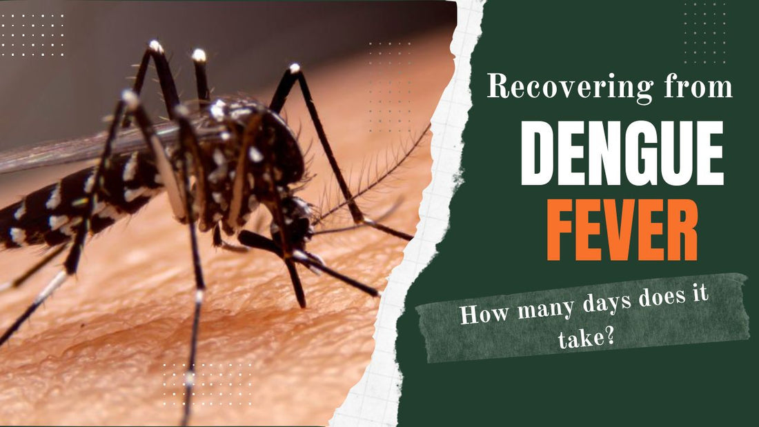 How Many Days to Recover from Dengue Fever