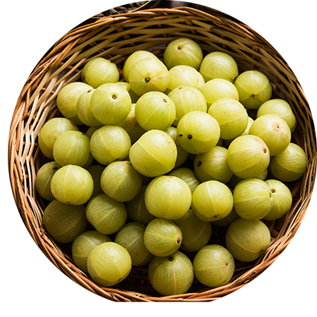 Indian gooseberries in a basket